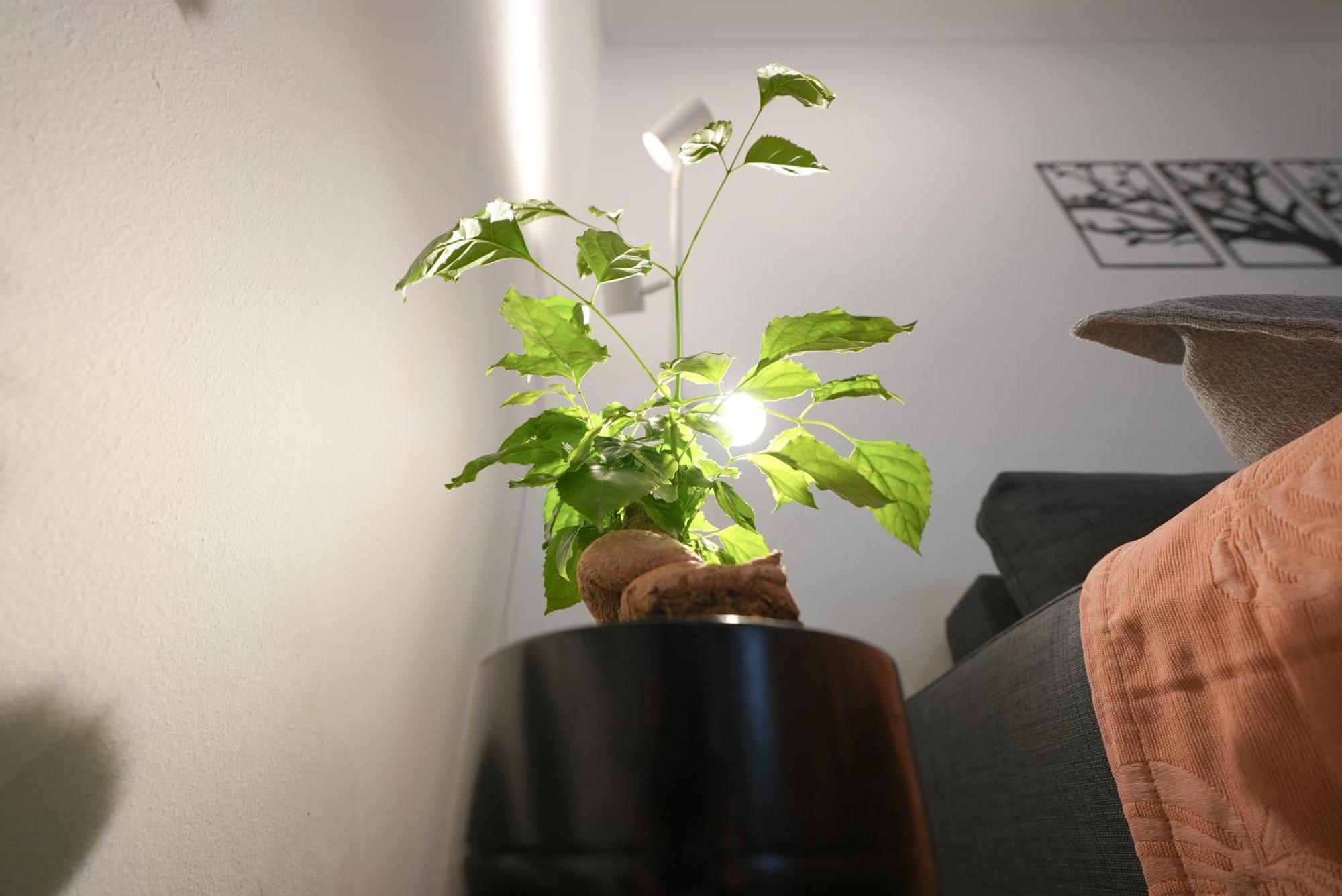Syntagma Square, 50Sqm Nikis Luxurious Apartment Atena Exterior foto
